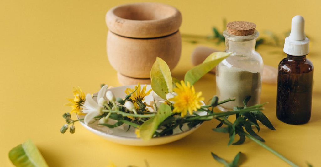 découvrez les bienfaits de la médecine traditionnelle, un savoir ancien qui utilise des remèdes naturels et des pratiques holistiques pour promouvoir la santé et le bien-être. explorez les différentes approches à travers le monde et apprenez comment ces méthodes peuvent compléter la médecine moderne.